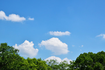 夏の青空と白い雲