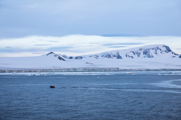 Boat on the water, Brown Bluff, Antarctic Peninsula.