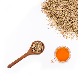 Infusion of fennel seeds - Foeniculum vulgare. White background