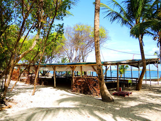An empty beach bar on a Caribbean beach between coconut palms.