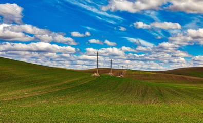 Power lines running across open country fields in Spring