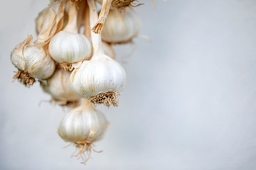 Special Turkish Kastamonu Garlic
