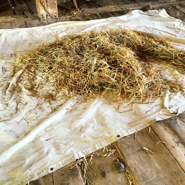 Dry Hay On Tarpaulin