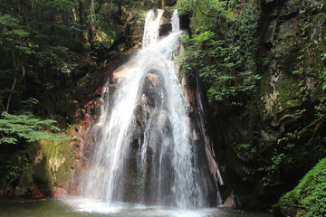 waterfall in the forest