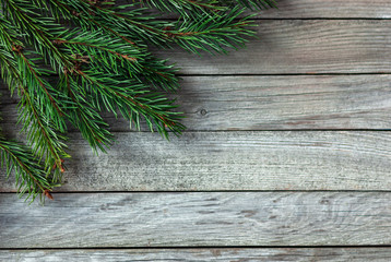 christmas tree branches on wooden background