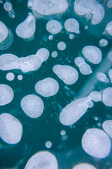 Ice Bubbles