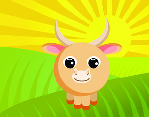 Cute baby yak in countryside