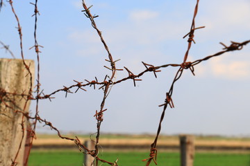 Old barbwire against blue sky