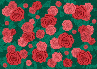 Roses with foliage drawing in vintage style.
