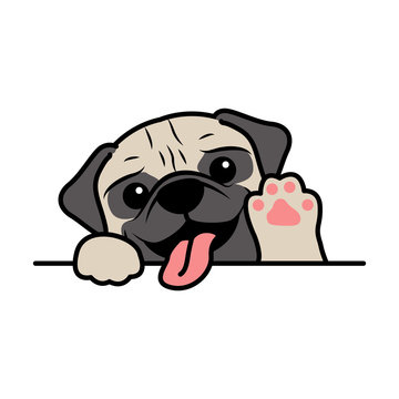 Cute pug dog waving paw cartoon, vector illustration