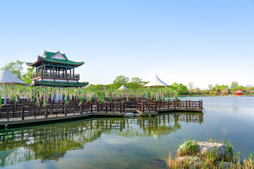 Fototapeta premium Beijing International Flower Port, China. Beijing International Flower Port Fantasy Flower Lake