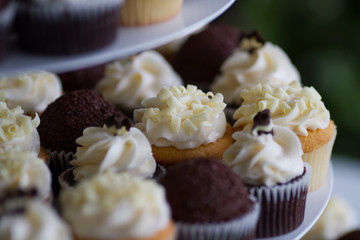 cupcakes with frosting on trays