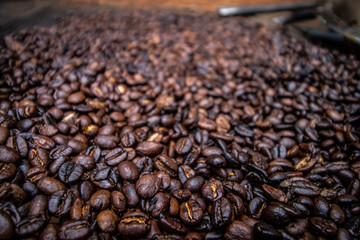 Coffee Beans
