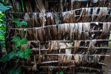 Banana Leaf Wall