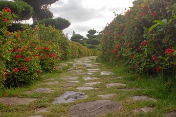 path in the park