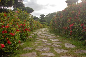 path in the garden