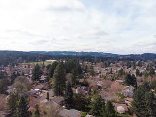 Fototapeta na wymiar Suburb from a height, USA, filmed from a drone. Trees and houses