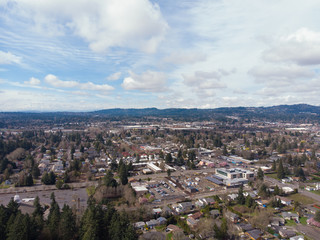 Suburb from a height, USA, filmed from a drone. Trees and houses