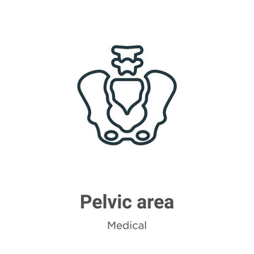 Pelvic area outline vector icon. Thin line black pelvic area icon, flat vector simple element illustration from editable medical concept isolated stroke on white background