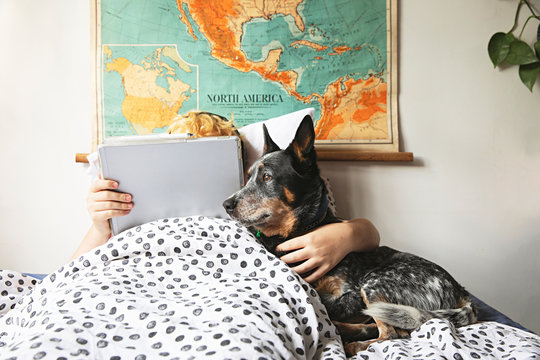 Teenage boy using digital tablet while lying on bed with his dog at home