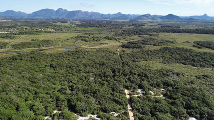 Fototapeta na wymiar Park photographed in Espirito Santo. Southeast of Brazil. Atlantic Forest Biome. Picture made in 2018.