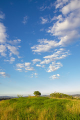 Obraz premium summer sky and high altocumulus) clouds landscape and plane horizon field of grass