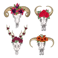 Fotobehang Boho Collectie van schedels van wilde dieren westerse mystiek, print bloemen. Herten bohemien hoofd, western vintage dier.