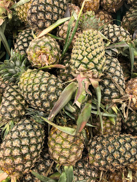 Photo tropical pineapple fruit on the counter of the supermarket