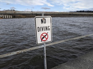 No Diving sign at Lake Washington on a sunny, somewhat cloudy day