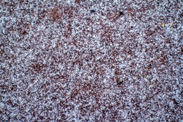 Sand photographed in Linhares, North of Espirito Santo. Southeast of Brazil. Atlantic Forest Biome. Picture made in 2018.