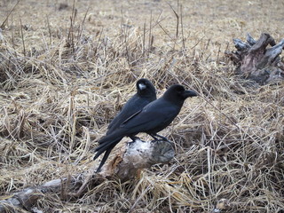 Obraz premium OLYMPUS DIGITAL CAMERA