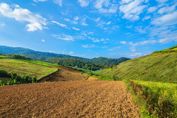 Preparing soil for plant over the mountain under blue sky.