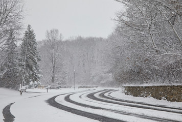April snowfall on the curvy road in front of my house-hope it is the last!