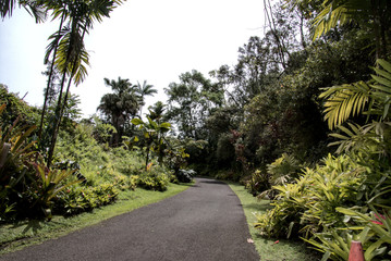 Fototapeta premium Hawaiian Road