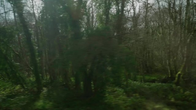 POV View From Window On Carhaix to Guingamp Train Going Woodland Trees With Sun Peaking Through. Follow Shot