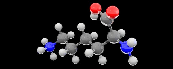 3d chemical structure of the lysine molecule
