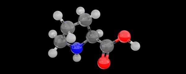 3d glass chemical structure of proline molecule
