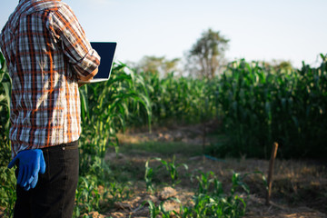 Gardeners check soil conditions for farming