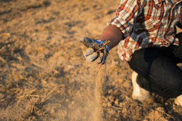 Gardeners check soil conditions for farming