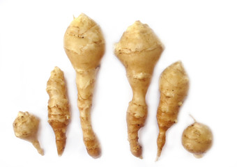 six home grown topinambours