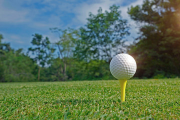 Blurred golf ball on tee in the evening golf course with sunshine