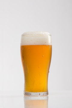 Golden Beer in Ice-cold Glass with Head - Photographed on White in Studio