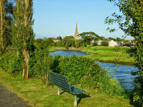 Empty Bench Overlooking Calm Lake