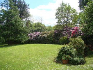Parc et futaie