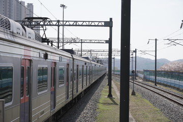 한국 지하철1호선 사진
Korean Subway Line 1 Jeoncheon Photo