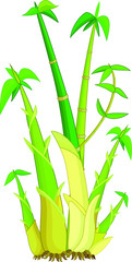 Bamboo Tree Cartoon Vector Illustration Cartoon