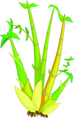 Cool Green Yellow Bamboo Tree Cartoon Vector Illustration 