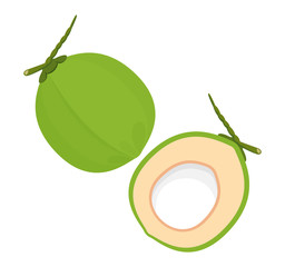 coconut fresh young isolated on white background, illustration coconut half sliced for healthy food menu fruit juice, coconut summer fruit concept, green coconut for clip art simple