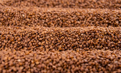 A pile of buckwheat. Buckwheat harvest. Buckwheat grain.