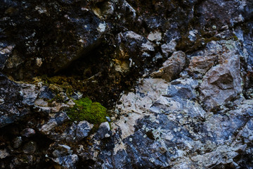 Image of a rocky wall.